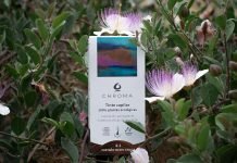 Chroma: l’alternativa natural i saludable per a tenyir el teu cabell Chroma