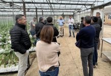 Epigen Healthy Bite en el primer foro hispano-británico de agricultura regenerativa Epigen Healthy Bite