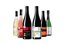 ONESIMUM WINES: vins únics en un món extrem onesimum wines