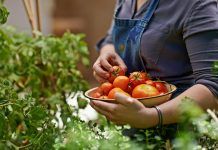 Com començar a menjar aliments ecològics