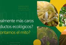 El CAECV desmunta el mite que consumir aliments ecològics és més car
