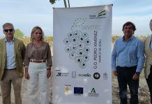 El proyecto INVITEC muestra sus avances en el cultivo ecológico del Pedro Ximénez