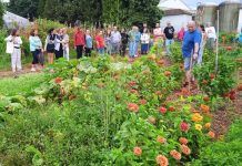 40 actividades celebran la Semana Bio en toda España