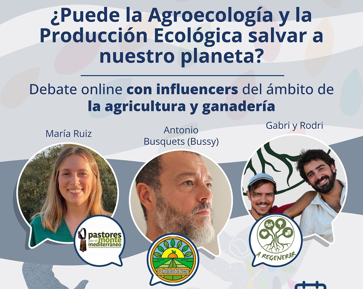 debate-online-seae-portada
