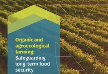 «Organic and agroecological farming are the best guarantee for long-term food security», says new TP Organics Policy Brief TP Organics Policy Brief