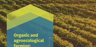 «Organic and agroecological farming are the best guarantee for long-term food security», says new TP Organics Policy Brief TP Organics Policy Brief