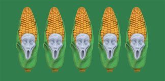 Patents on plants continue to threaten breeding in Europe