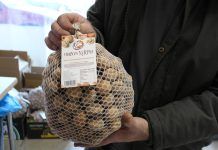 L’ABC de la dieta antiinflamatòria Dieta antiinflamatoria