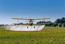 Pesticides: how they contaminate our foods and put our health at risk pesticidas