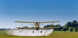 Pesticides: how they contaminate our foods and put our health at risk pesticidas