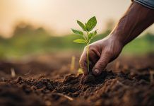 AOA Chile lanza nueva página web y revista digital: «Conectamos a los diferentes actores de la agricultura ecológica en Chile» AOA Chile