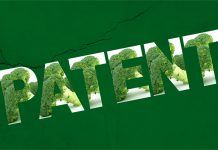 Nueva patente concedida al ‘súper brócoli’ broccoli