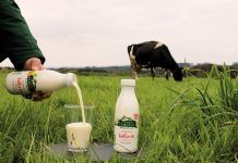 Casa Grande de Xanceda: productes lactis 100% ecològics i purs Casa Grande de Xanceda