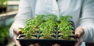 European Parliament should uphold ban for all NGTs in organic in rapporteur’s report NGTs