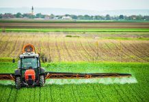 EU fails to approve glyphosate renewal: chance for a ban in Europe glyphosate