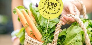 Retailers, raise your voice for strict legislation on new GMOs (‘New Genomic Techniques’): sign joint European letter new genomic techniques