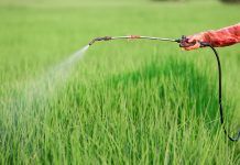 IFOAM Organics Europe welcomes progress on pesticides reduction negotiations pesticides