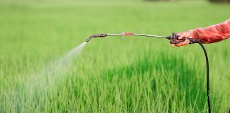 IFOAM Organics Europe welcomes progress on pesticides reduction negotiations pesticides