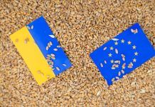 Ukraine – even the Russian war can’t stop organic sector development ukraine