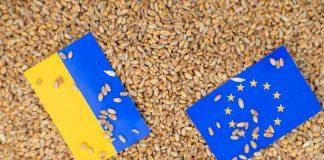 Ukraine – even the Russian war can’t stop organic sector development ukraine