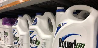 Bayer loses three Roundup cancer lawsuits, ordered to pay more than $500 million to plaintiffs