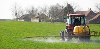 Sprouting discontent: Organic movement regrets European Parliament’s failure to pesticides reduction pesticides