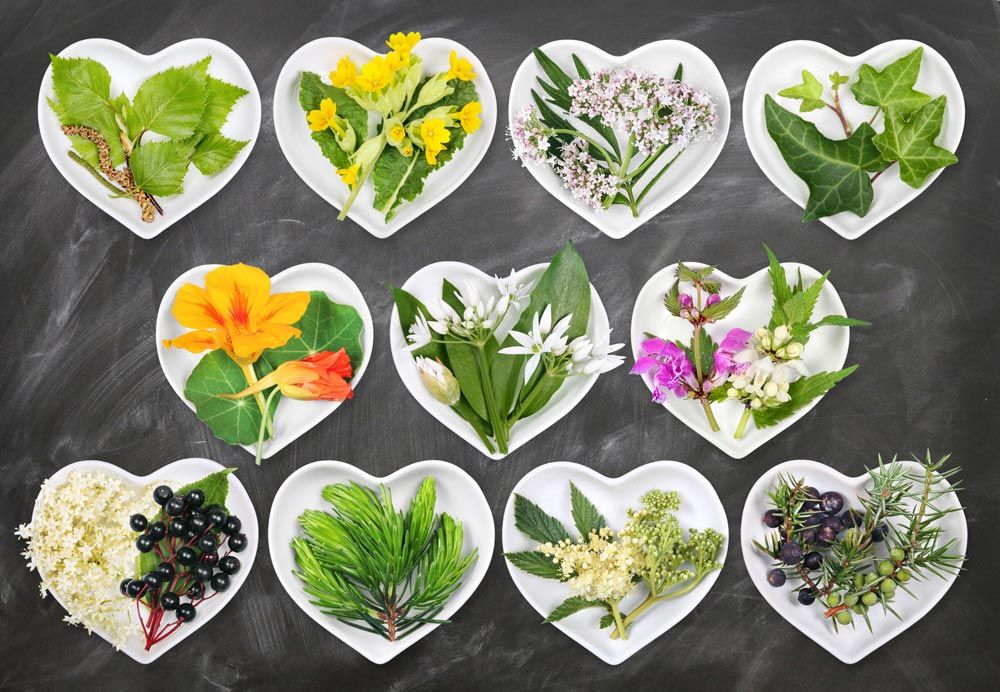 Plantes medicinals