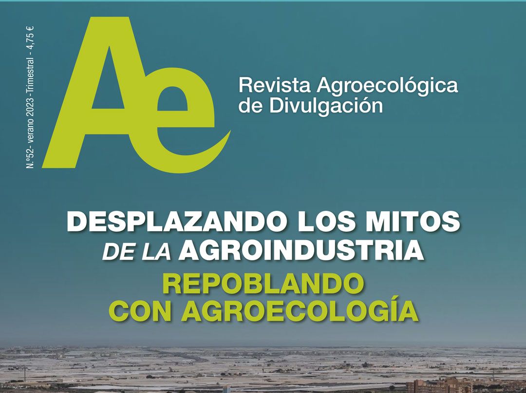 revista-ae-portada