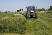 La importància de la formació i la investigació en la sostenibilitat agrícola desarrollo rural