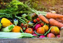 Los beneficios ocultos de la alimentación bio que te sorprenderán alimentación bio