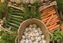 Sobirania alimentària i sostenibilitat Soberanía alimentaria
