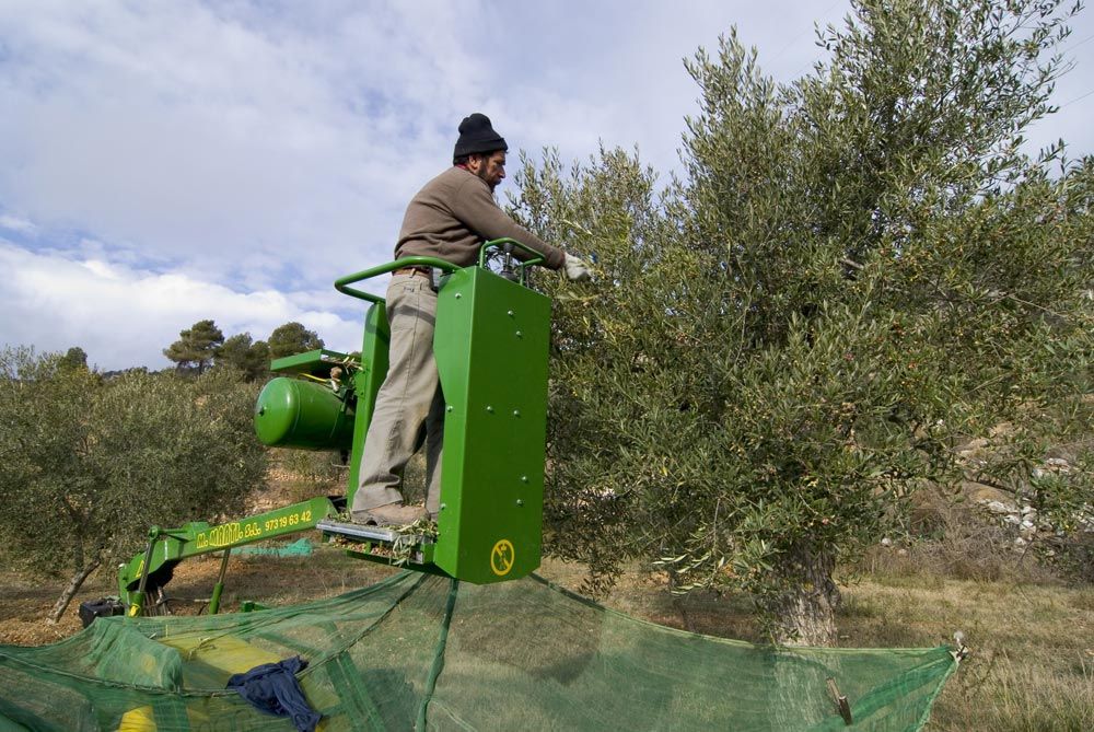 Sobirania alimentària