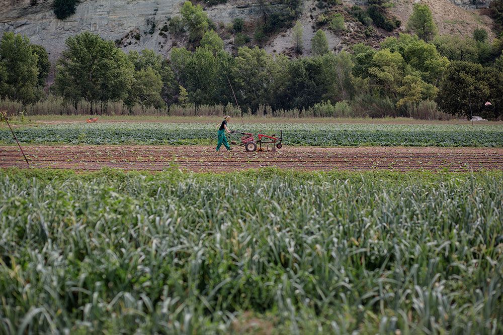 Sessió per a Caldos Aneto. Artés, setembre 2021. /Carles Palacio