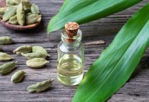 Salud digestiva con plantas frescas y aceites esenciales Salud digestiva