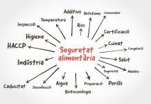 Kombutxa: Una regulació imprescindible Kombutxa