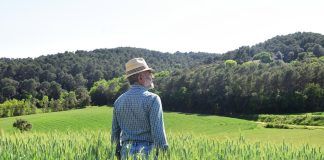 IFOAM Organics Europe welcomes Strategic Dialogue on the Future of Agriculture Strategic Dialogue