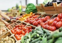 Plant-based food in France alimentación vegetal en Francia