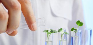 ANSES: «There is ‘no scientific basis’ for Commission’s proposal to remove regulatory safeguards from new GMOs»