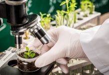 Vote on NGTs: A rushed outcome jeopardizing biosafety and freedom of choice NGTs