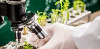 Vote on NGTs: A rushed outcome jeopardizing biosafety and freedom of choice NGTs