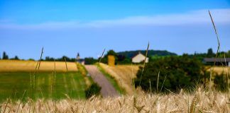 How widespread is organic food in French society?