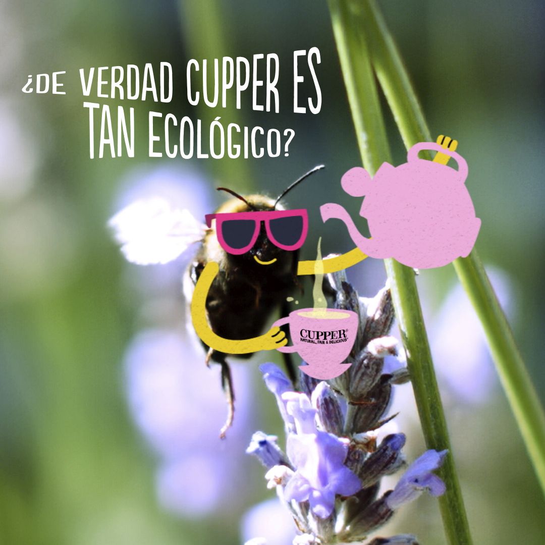 Cupper