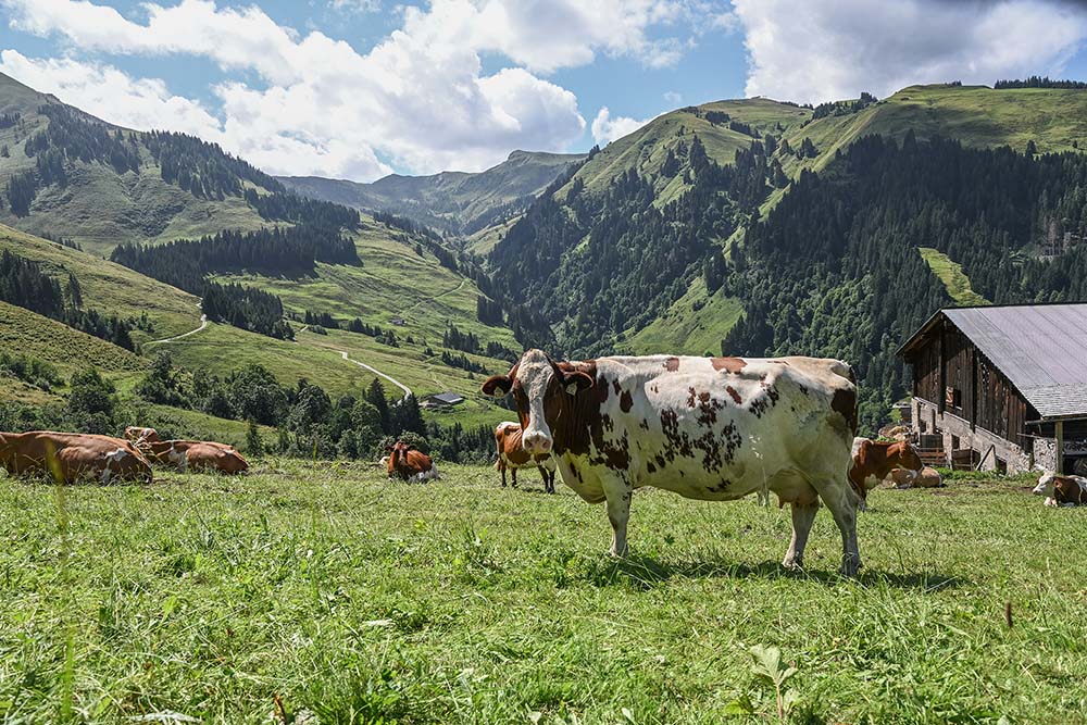 Austria