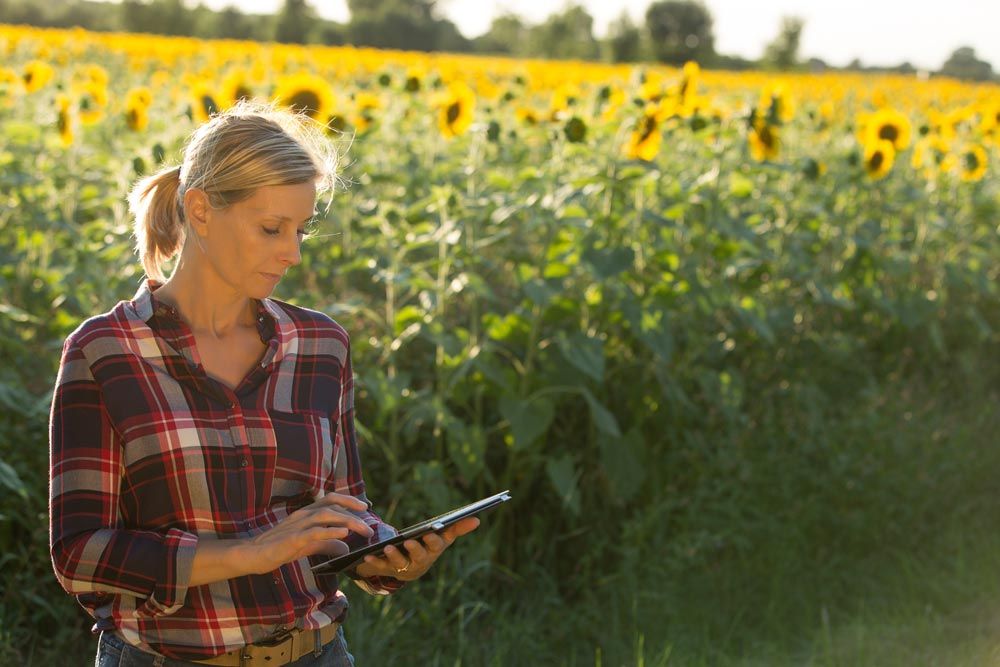 agroecology