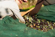 Organic farmers call for fair prices and recognition of public goods delivery