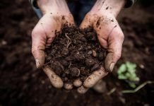 Agroecologia, Regenerativa, Natural i Ecològica: competència o família harmònica? agricultura regenerativa