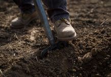 BIOFACH 2024: 100 years of biodynamic farming biodynamic farming