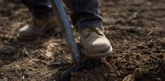 BIOFACH 2024: 100 years of biodynamic farming biodynamic farming