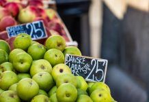 Denmark: organic policy and sector action driving organic breakthroughs Denmark