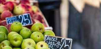 Denmark: organic policy and sector action driving organic breakthroughs Denmark